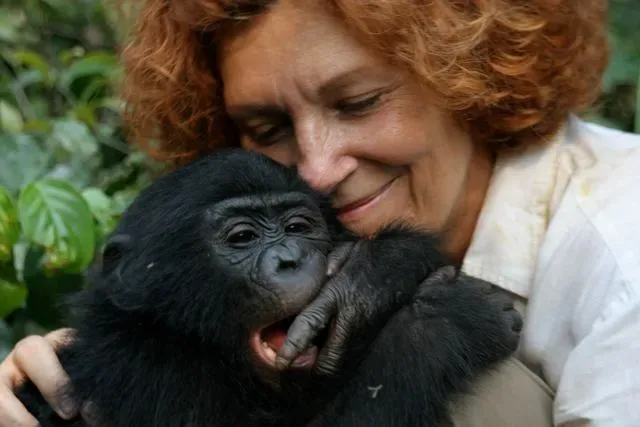 Bonobos: Curious and Deeply Social (By Vanessawoods, Public domain)