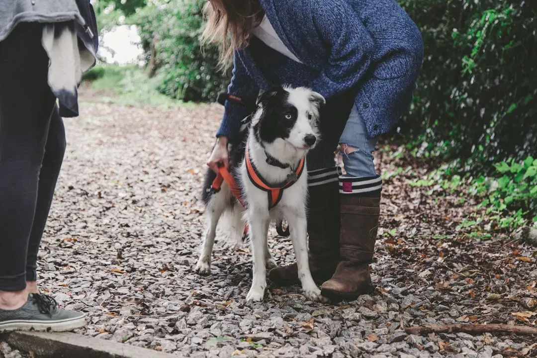 Working Breeds: Built for Partnership From the Ground Up (Image Credits: Unsplash)