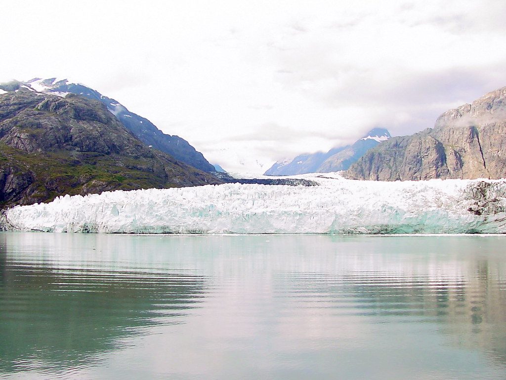 Glacier National Park: The Mist Forest Stonefly's Glacial Haven (Image Credits: Flickr)