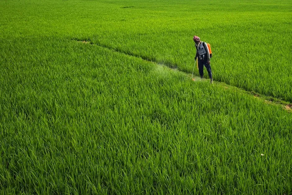 #2 Using Herbicides to Keep Weeds Under Control (Image Credits: Pexels)