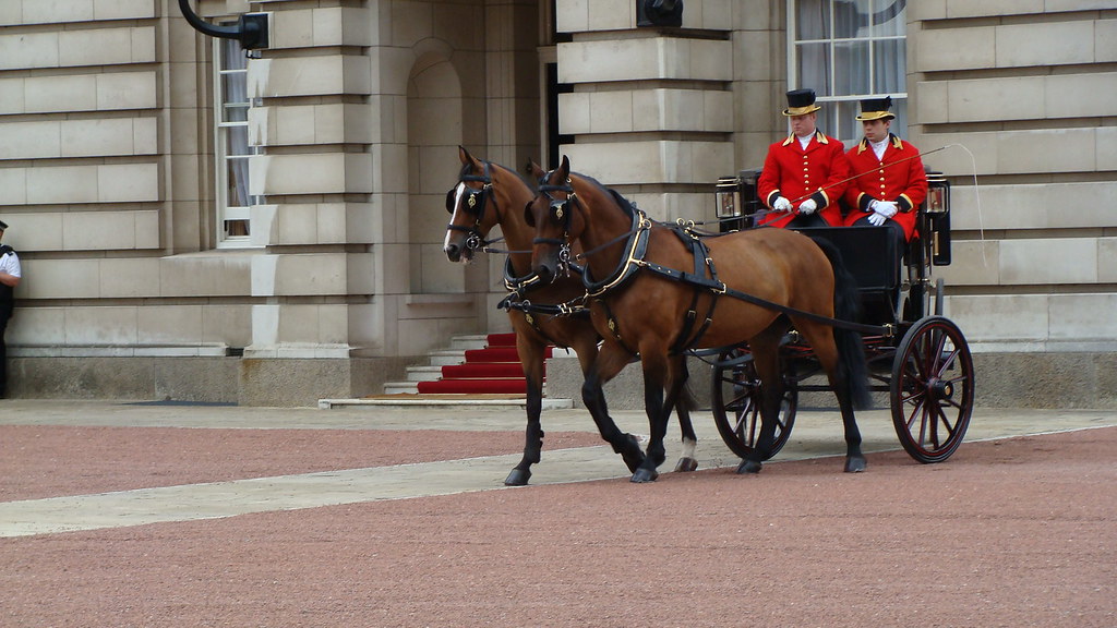 Cleveland Bay: Britain's Vanishing Coach Horse (Image Credits: Flickr)