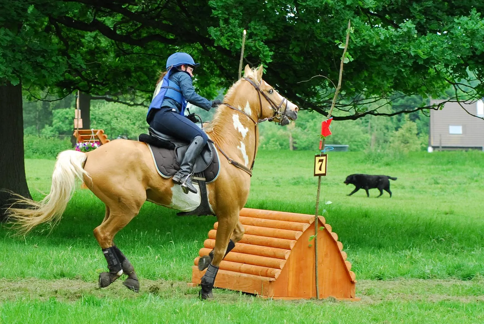 #6 - They Resist "Replacing" Routines With a New Rider (originally posted to Flickr as complet-cysoing-cross-014, CC BY-SA 2.0)