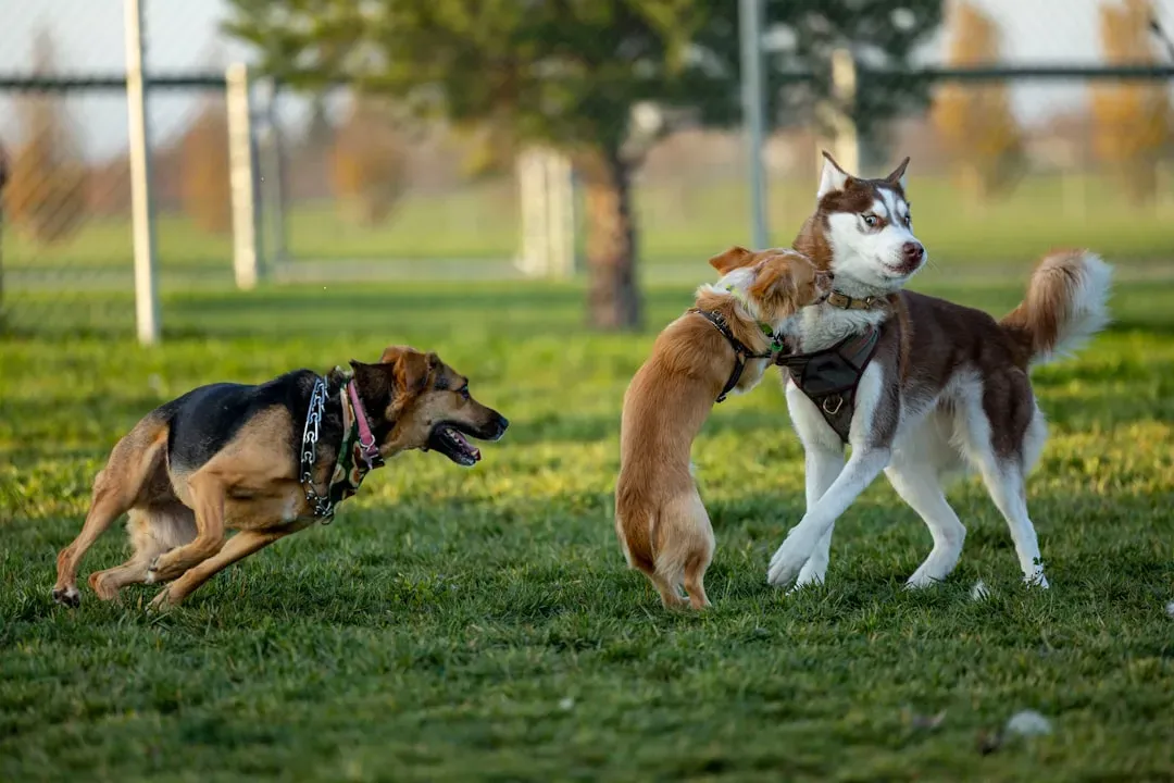 The Consistency Problem Every Owner Faces (Image Credits: Unsplash)