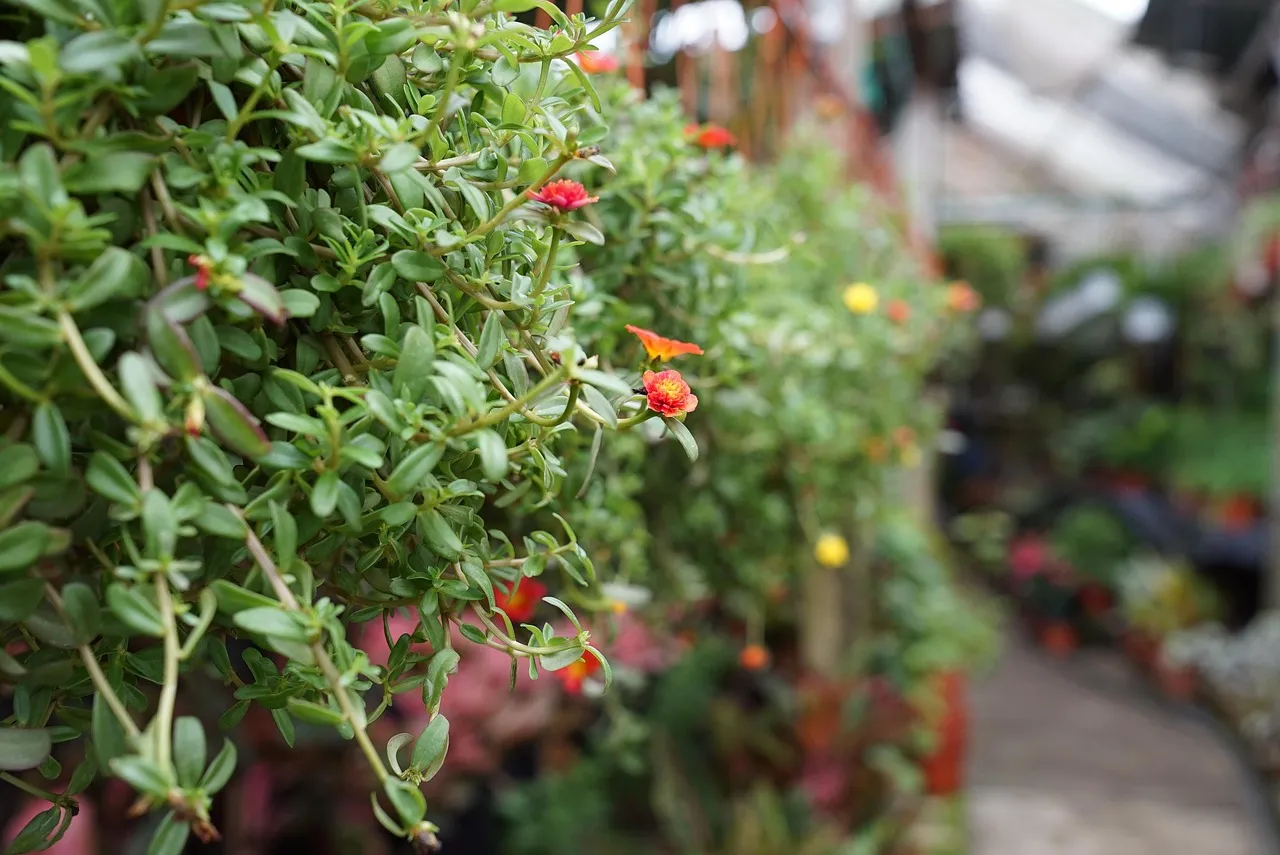#10 - Buying Whatever Looks Pretty at the Nursery Is a Trap (Image Credits: Pixabay)