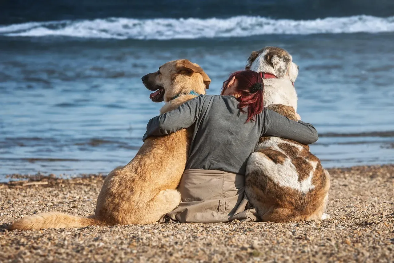 Conclusion: Choosing a Long-Life Companion Is a Beautiful Decision (Image Credits: Pixabay)