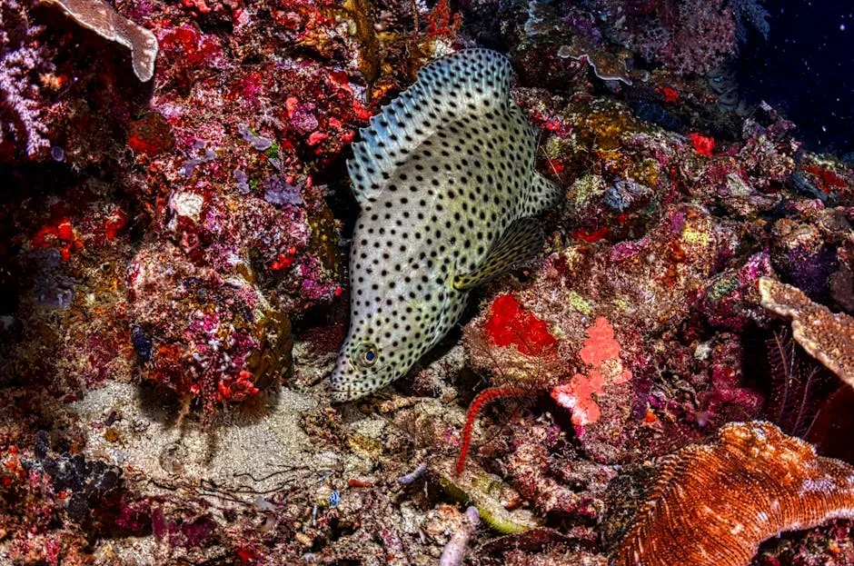4. Colorado River, Arizona: The Humpback Chub Holds Its Ground (Image Credits: Pexels)