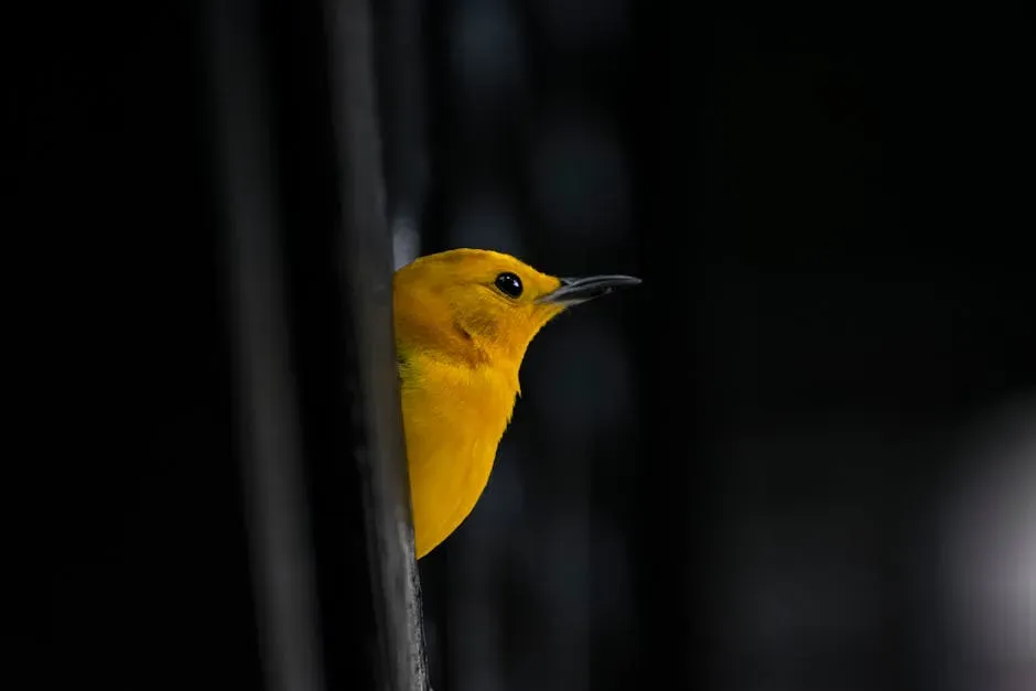 4. Yellow Warbler (Image Credits: Pexels)