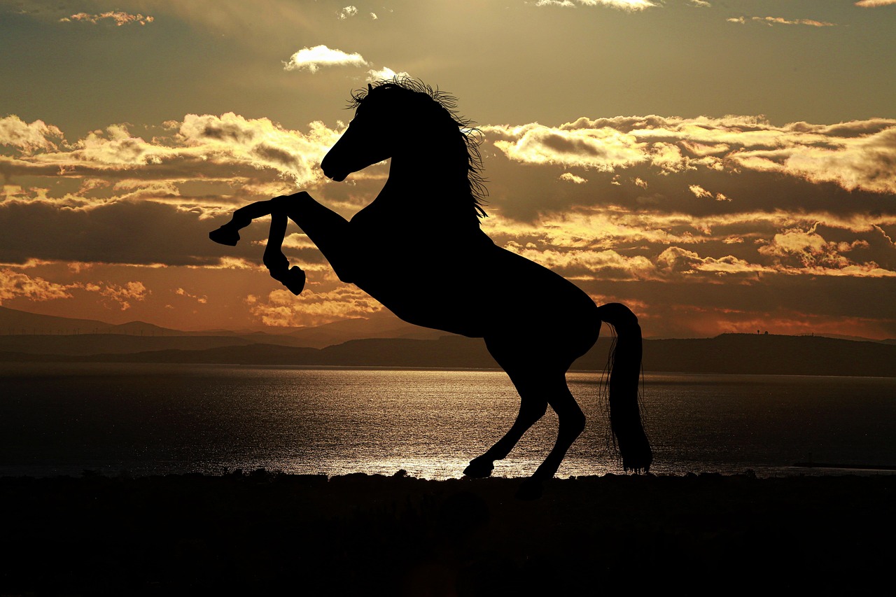 Practical Steps to Meet Your Shadow Animal (Image Credits: Pixabay)