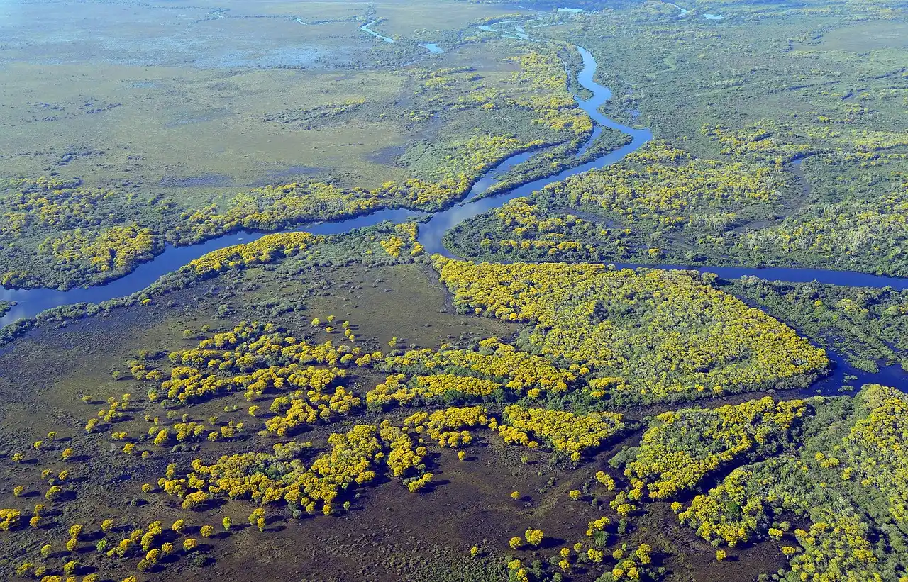 Pantanal, Brazil (Image Credits: Pixabay)