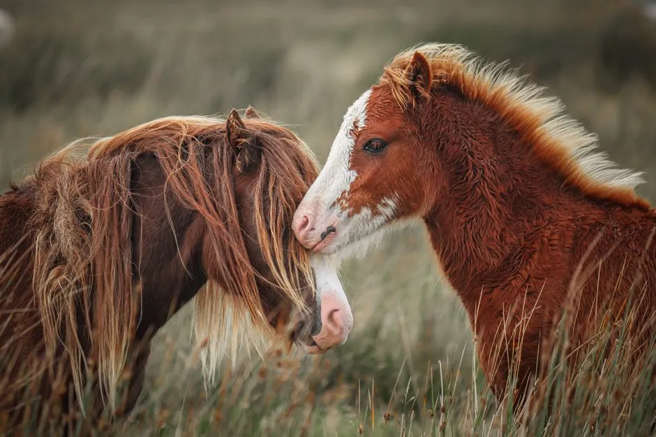 #16 - They Show You Their "Ugly" Emotions Safely (Image Credits: Pexels)