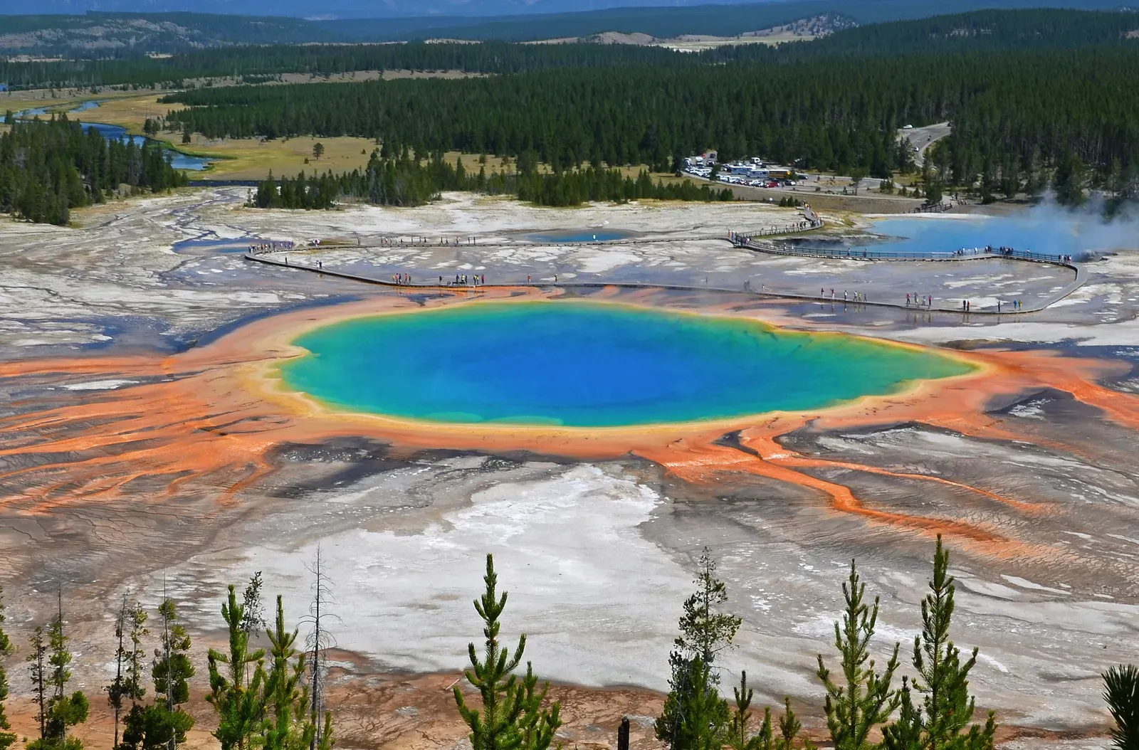 Grand Prismatic Spring, Yellowstone (Image Credits: Wikimedia)