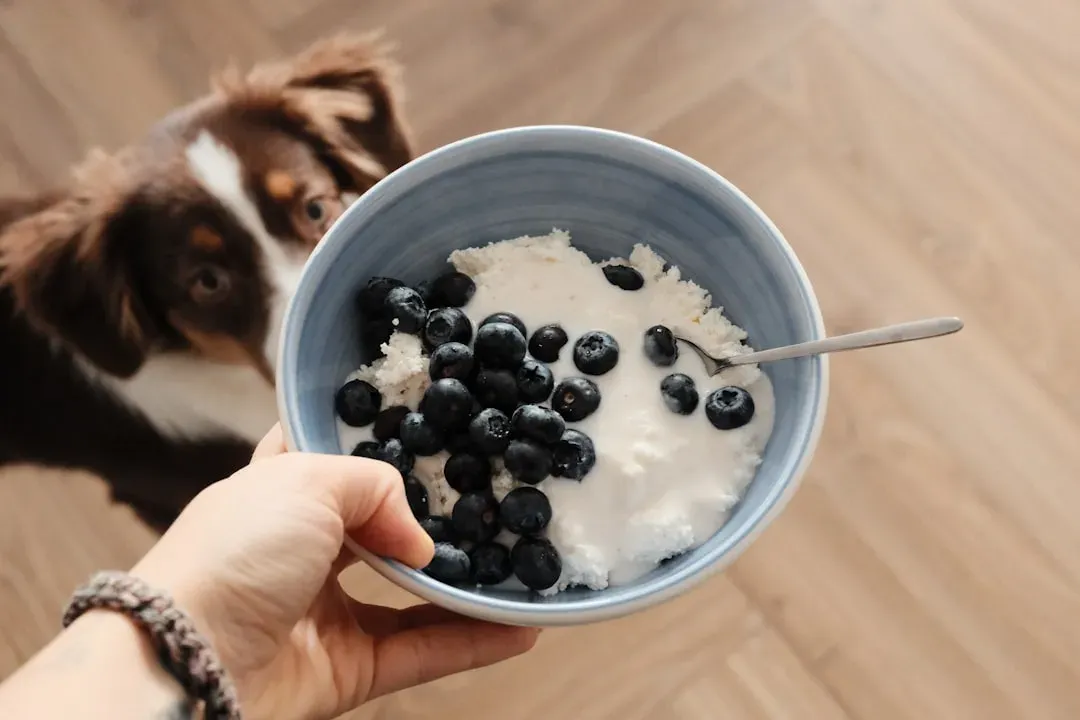 Blueberries for Antioxidant Support (Image Credits: Unsplash)