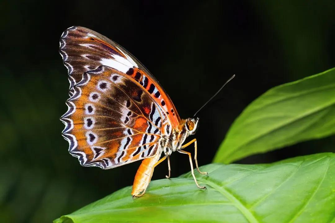 4. Green Lacewings: Delicate Wings, Savage Appetites (Image Credits: Unsplash)
