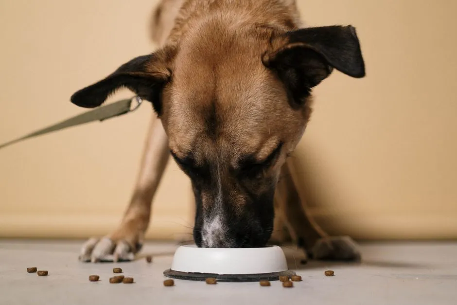 #7 - The First Food Test: Eating Under Pressure (Image Credits: Pexels)