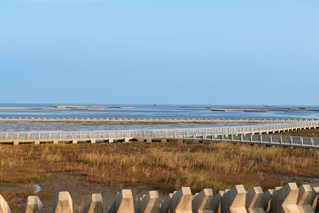 South Carolina: Low Country, High Risk (Image Credits: Unsplash)