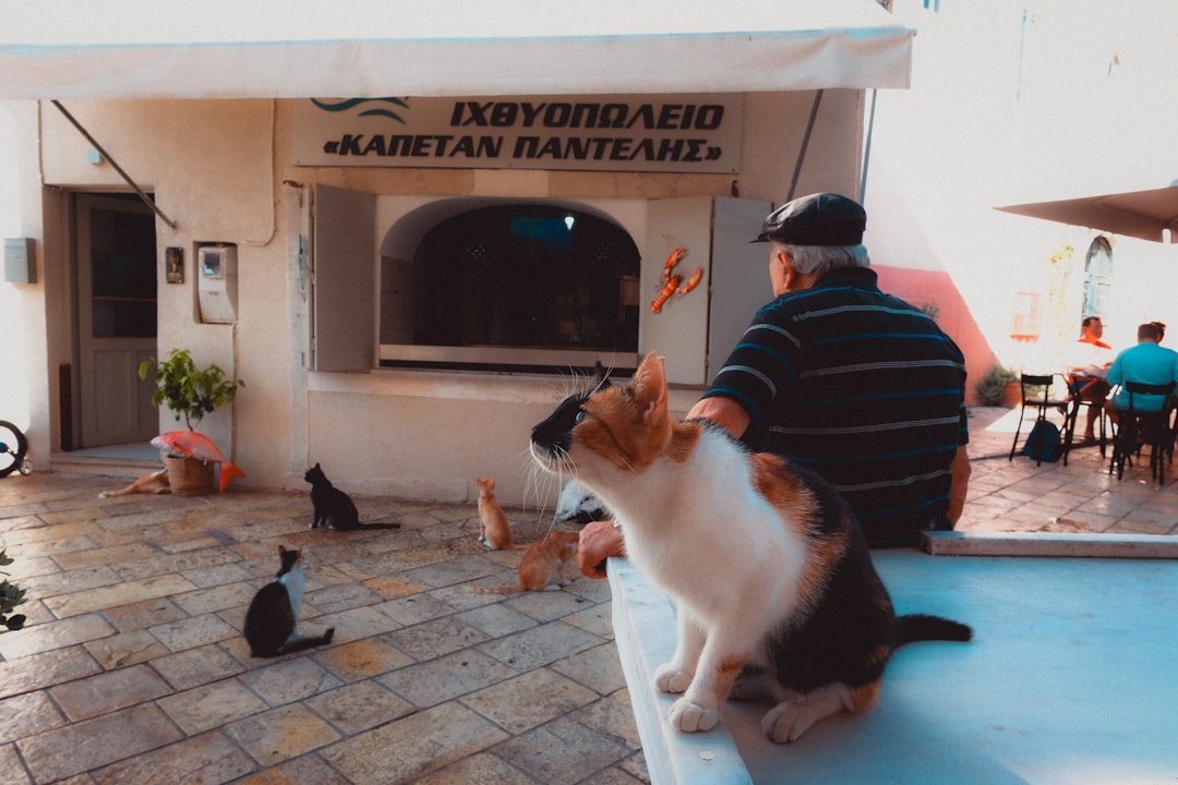 Emergency Preparedness for Multi-Pet Households (Image Credits: Unsplash)