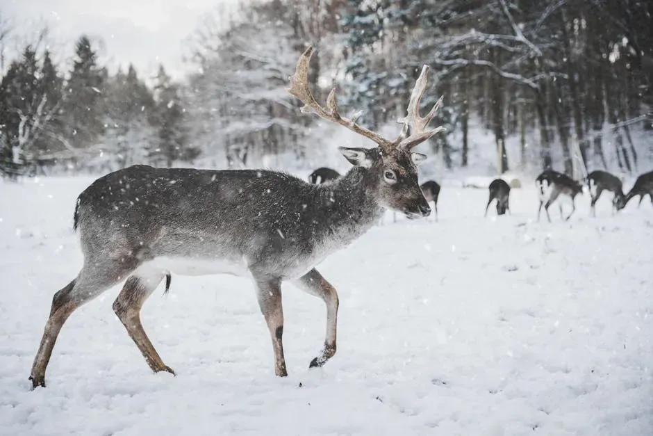 A Changing Winter: When Adaptations Meet a Shifting Climate (Image Credits: Pexels)