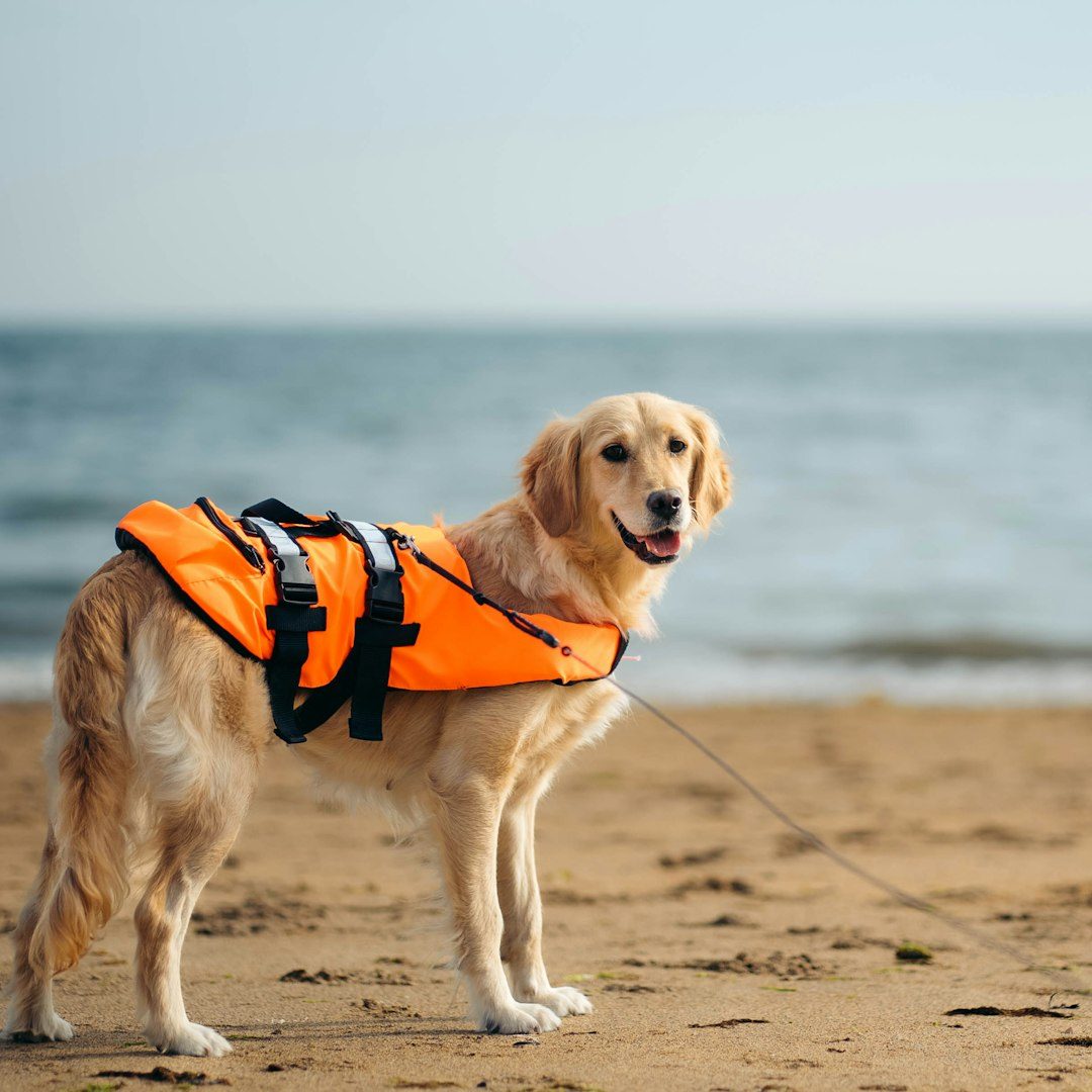 Establish Emergency Preparedness and Safety Protocols (Image Credits: Unsplash)