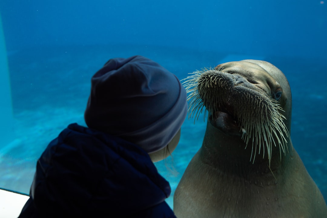 What Drives Marine Mammal Altruism? (Image Credits: Unsplash)