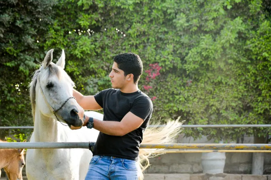 Arabian: The Classic One-Person Soulmate (Image Credits: Pexels)