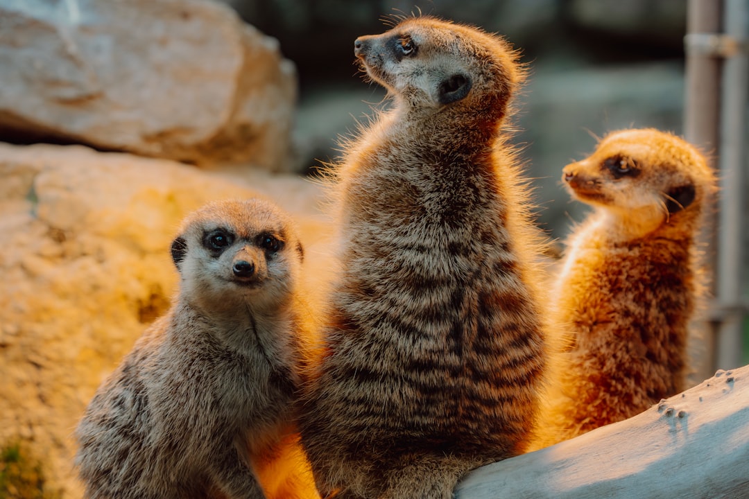 Learn from Group Reactions (Image Credits: Unsplash)