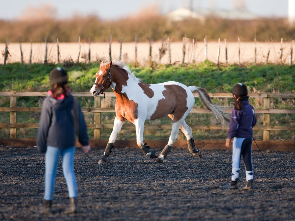 Horses Were More Than Transportation &ndash; They Were Currency (Image Credits: Flickr)