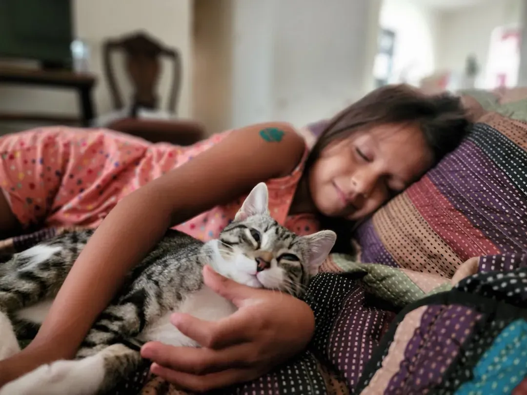 Conclusion: Your Cat Loves You More Than You Know (Image Credits: Unsplash)