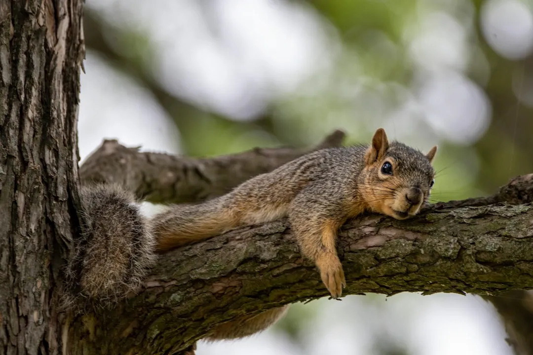 Food Thieves, Eavesdroppers, and a Life of Constant Risk (Image Credits: Unsplash)