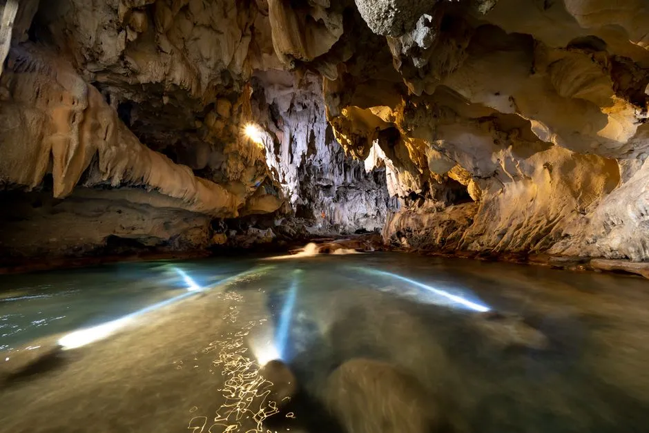 #8 - Rivers That Vanish Beneath the Forest Floor (Image Credits: Pexels)