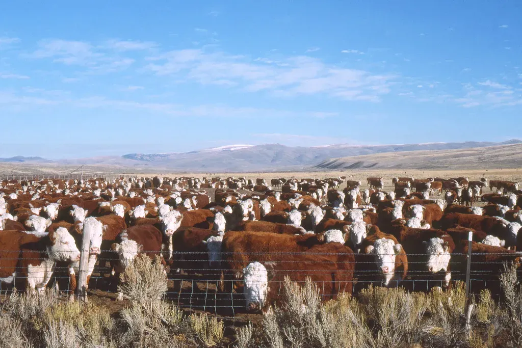Oklahoma's Grassland Advantage (Image Credits: Flickr)