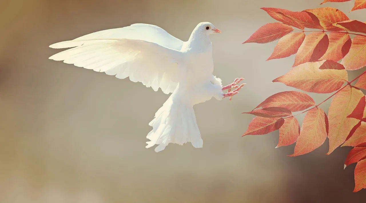 White-Winged Doves (Image Credits: Pixabay)