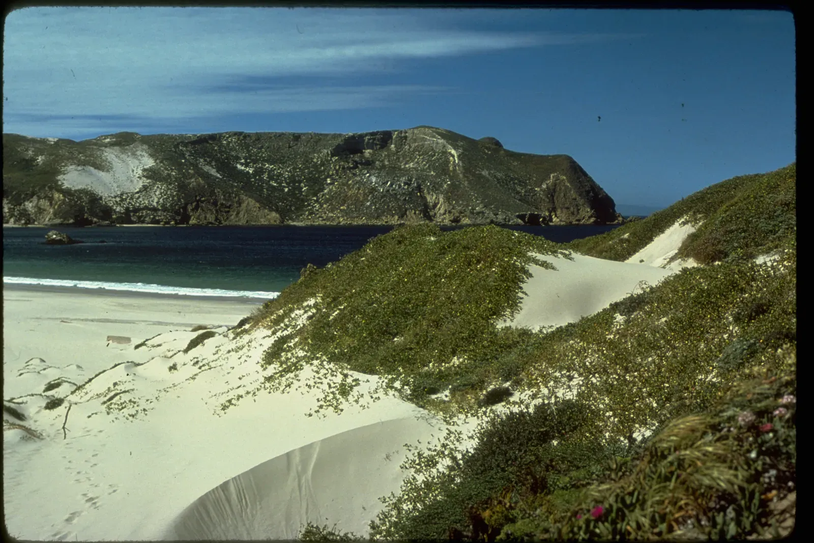 Channel Islands National Park, California &ndash; California's Galapagos (Image Credits: Wikimedia)