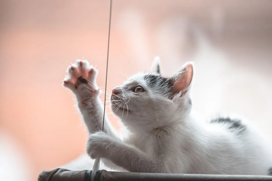 Playtime and Fun Activities (Image Credits: Pexels)
