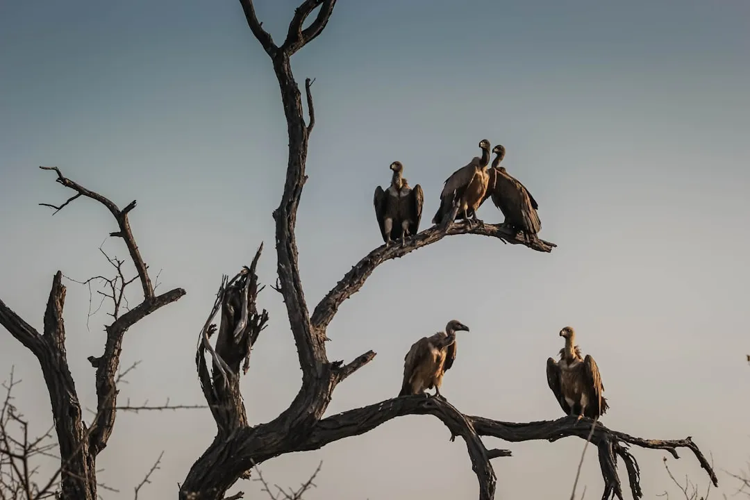 #7 The folklore around this sight is older and stronger than the science (Image Credits: Unsplash)