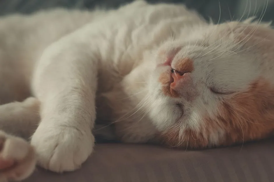 When to Be Concerned About Sleeping Positions (Image Credits: Pexels)