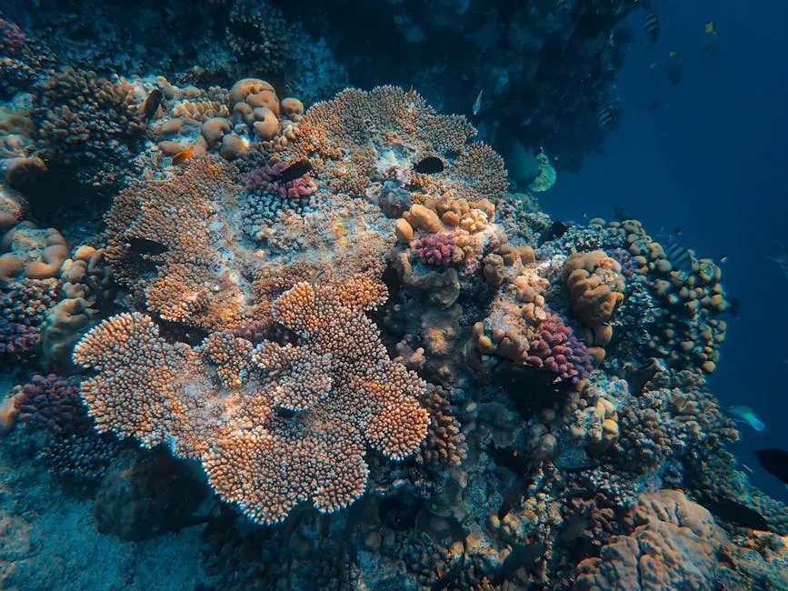 Coral Reefs: Fragile Ecosystems Showing Surprising Resilience (Image Credits: Pexels)