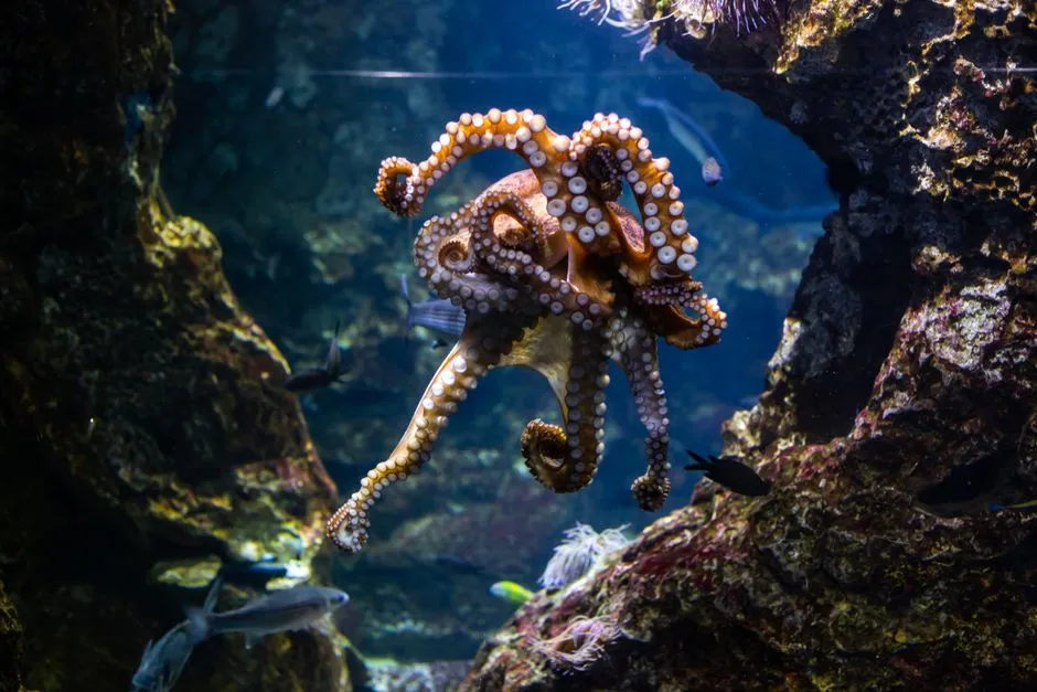 Nine Brains, One Mystery: Whose Imagination Is It Anyway? (Image Credits: Pexels)