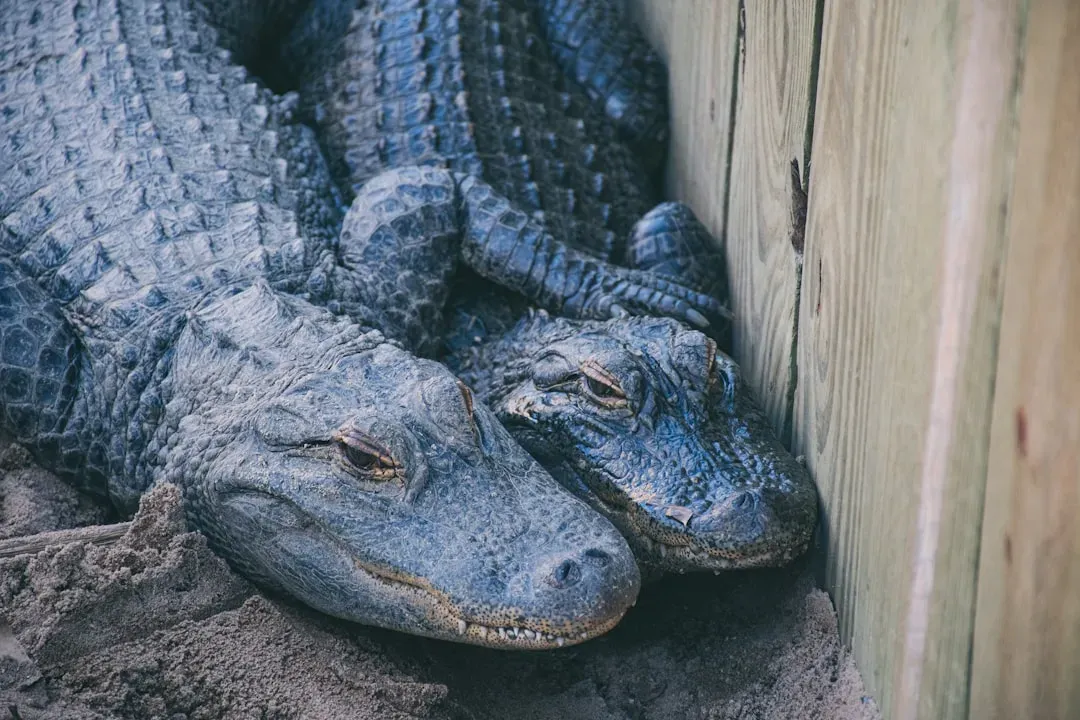 Natural Fear and the Question of Coexistence (Image Credits: Unsplash)