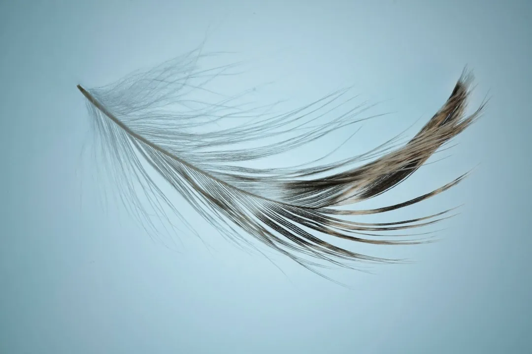 9. Feather and Fur Remnants (Image Credits: Unsplash)