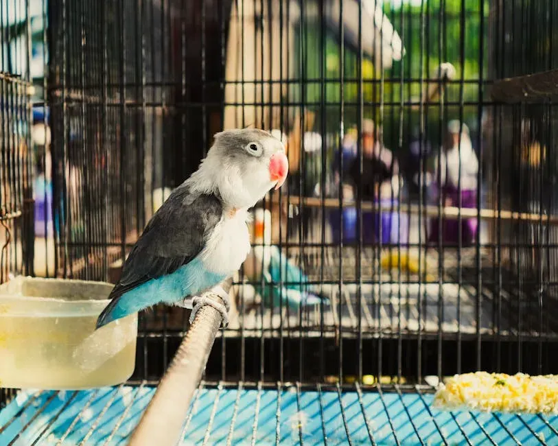 #8: Never Leave Them Isolated Without Enrichment or Interaction (Image Credits: Pexels)