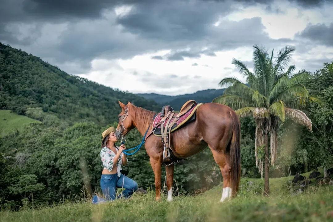 Taurus and the American Quarter Horse (Image Credits: Unsplash)