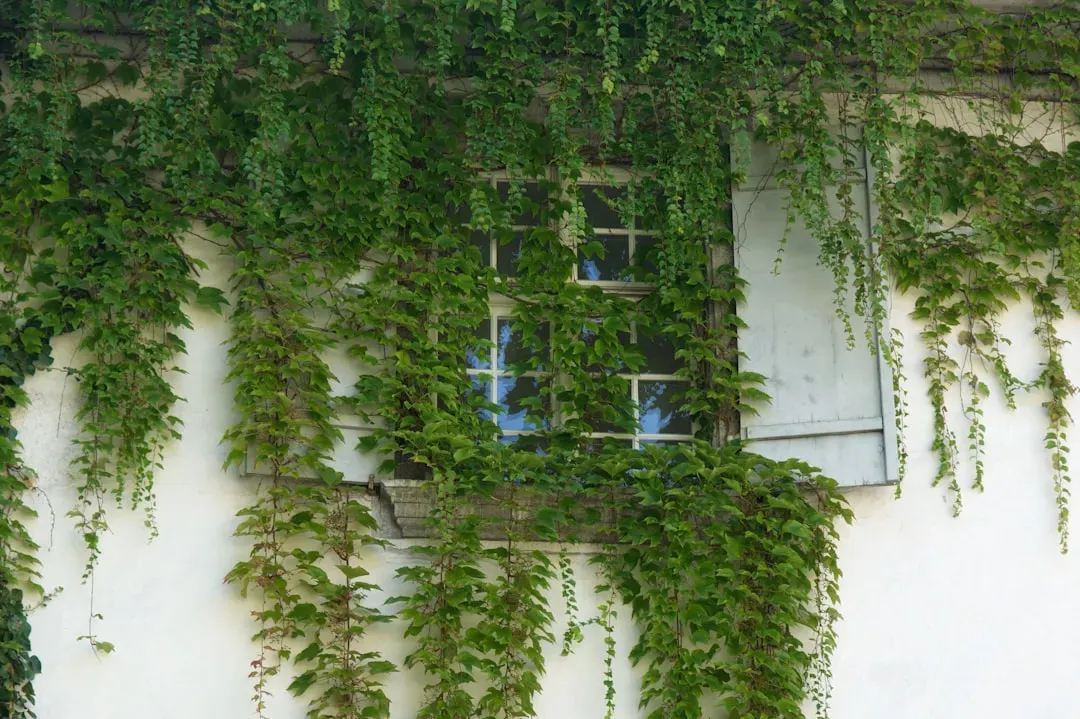 7. Overgrown Shrubs and Trees Touching the Structure (Image Credits: Unsplash)