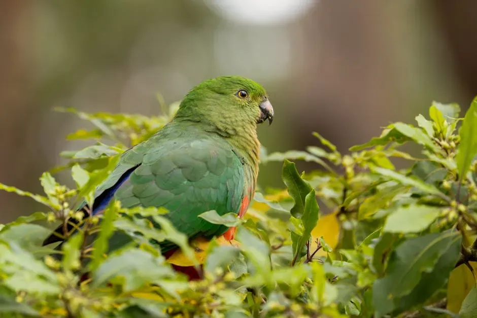 9. The Australian Night Parrot - A Ghost Bird Found After 100 Years (Image Credits: Pexels)