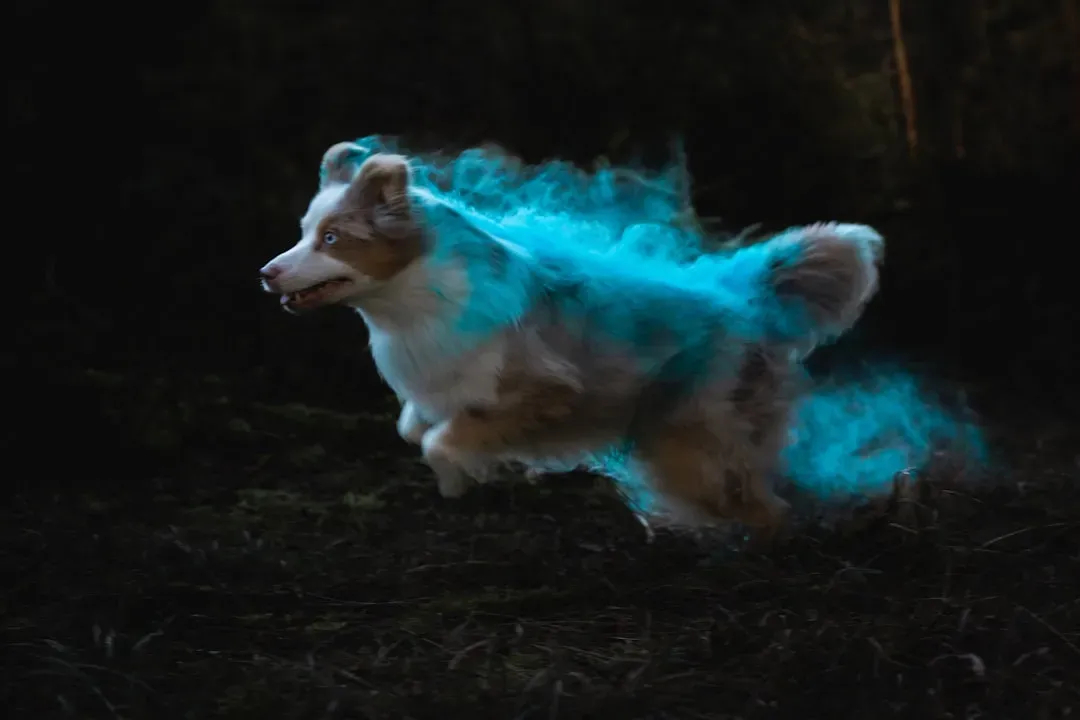Native American Shamanism: Spirit Animals as Guides Through Life (Image Credits: Unsplash)
