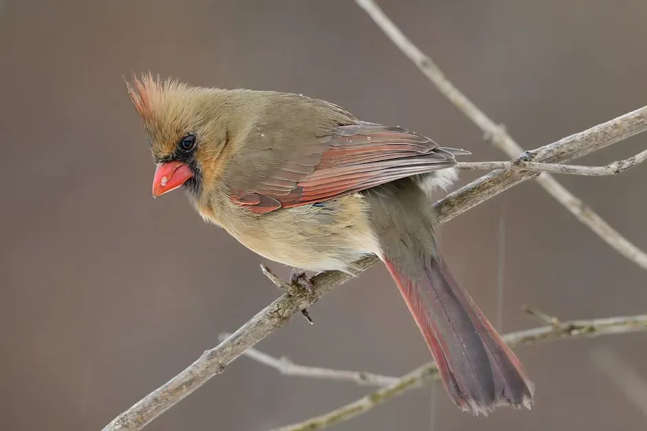 #8: They Feed From the Ground More Than Usual (Image Credits: Pexels)