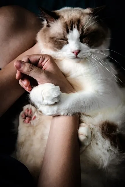 They sleep deeply near you and turn their back while doing it (Image Credits: Pexels)