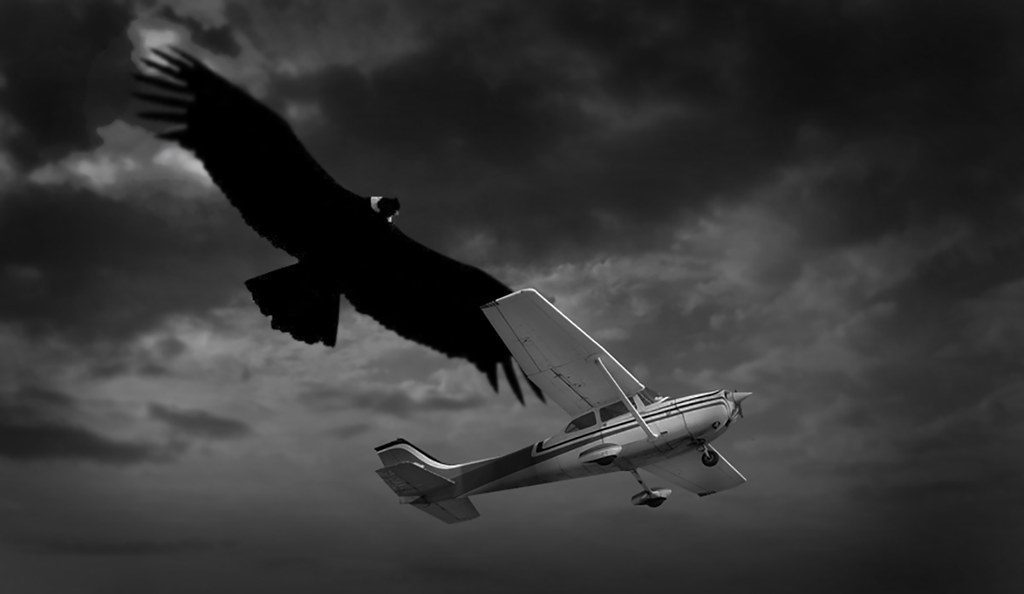 The Thunderbird's Storm Powers (Image Credits: Flickr)