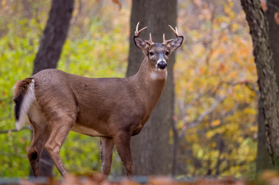 #6 Pennsylvania (Image Credits: Stocksnap)