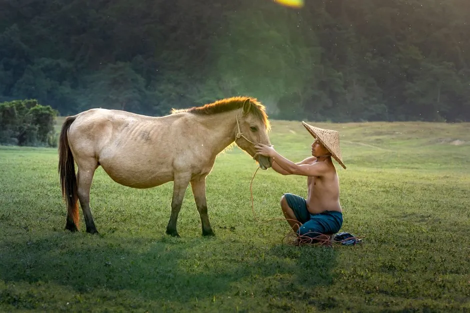 #1 - Coming Back to You After Freedom (Image Credits: Pexels)