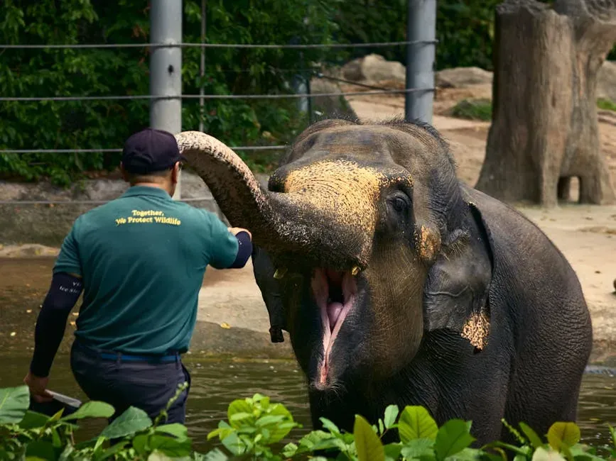 San Diego Zoo Wildlife Alliance: A Global Conservation Powerhouse (Image Credits: Pexels)